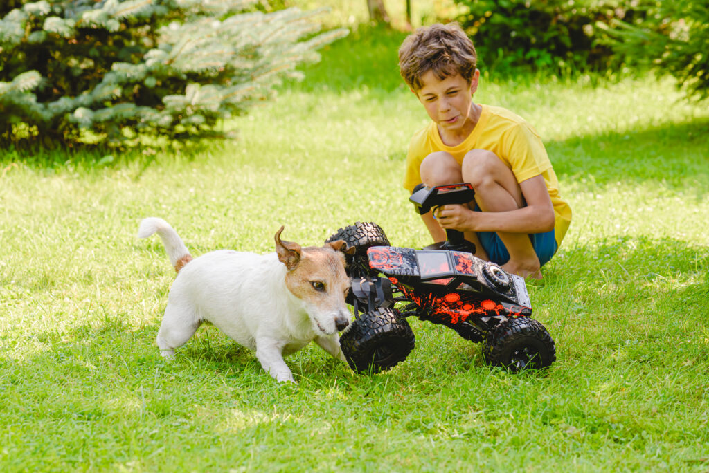 buy a Traxxas rc car